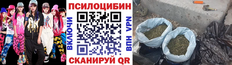 Псилоцибиновые грибы ЛСД  сколько стоит  Новая Усмань 