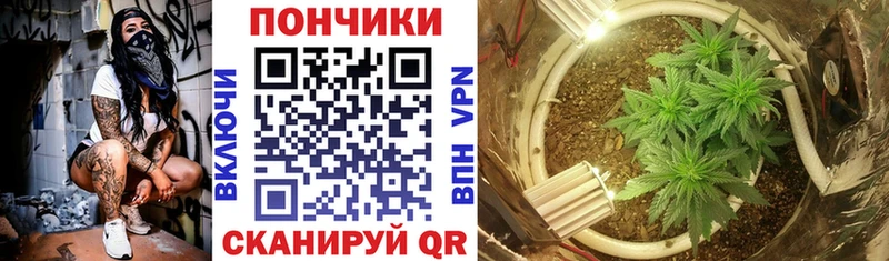 блэк спрут   Новая Усмань  площадка клад  МАРИХУАНА Amnesia 